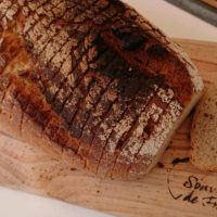 Brood